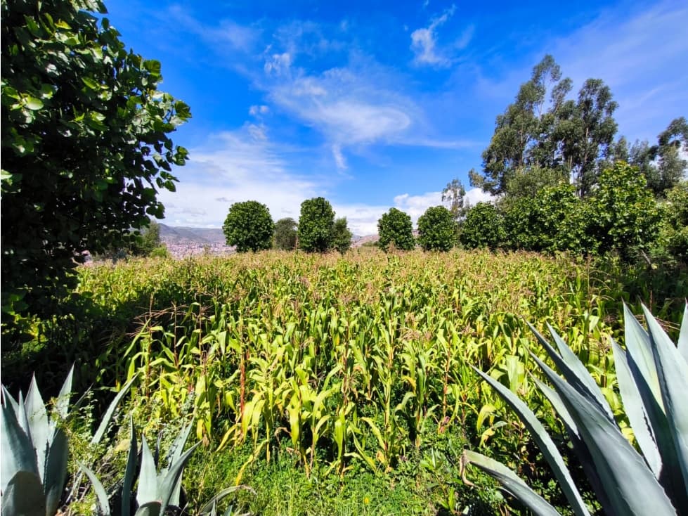 VENDO TERRENO 1000 O 500 M2 EN YARCAPATA PICOLL SAN JERONIMO CUSCO — foto 4