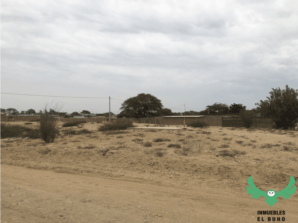 VENDO TERRENO EN LA MARIPOSA, PIURA. — foto 2