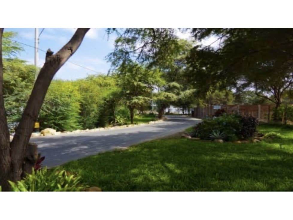 VENDO TERRENO EN LOMA BLANCA — foto 3
