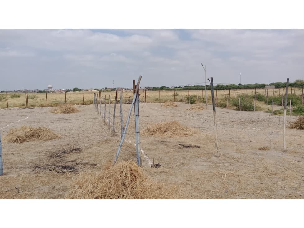 TERRENOS EN VENTA EN VISTA ALEGRE — foto 1