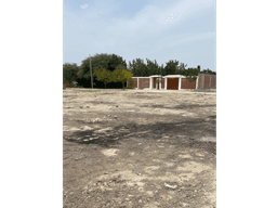 VENDO TERRENO A PRECIO DE OCASIÓN EN EJIDOS DEL NORTE, PIURA