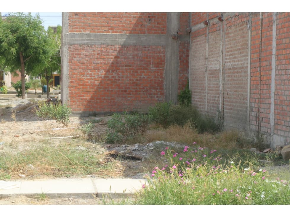 VENDO TERRENO EN LAS CASUARINAS III — foto 2