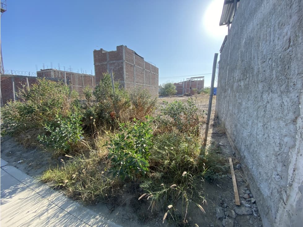 VENDO TERRENO EN CASUARINAS PORTALES — foto 2