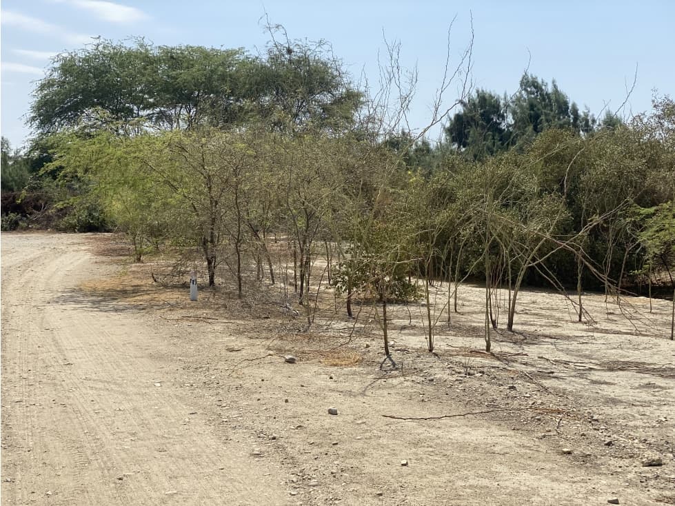 VENDO TERRENOS EN EJIDOS — foto 4