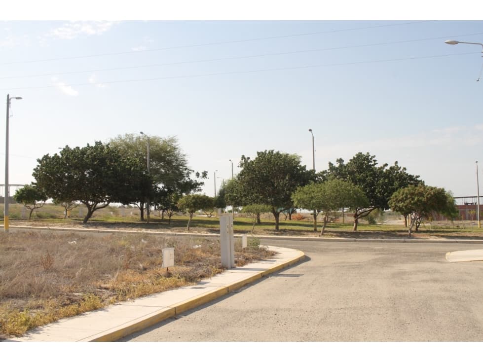 VENDO TERRENO EN LAS COLINAS DE PIURA — foto 5