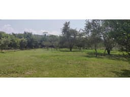 Terreno Tarapoto - 3 de Octubre - 10,000 m2 - US$45 x m2