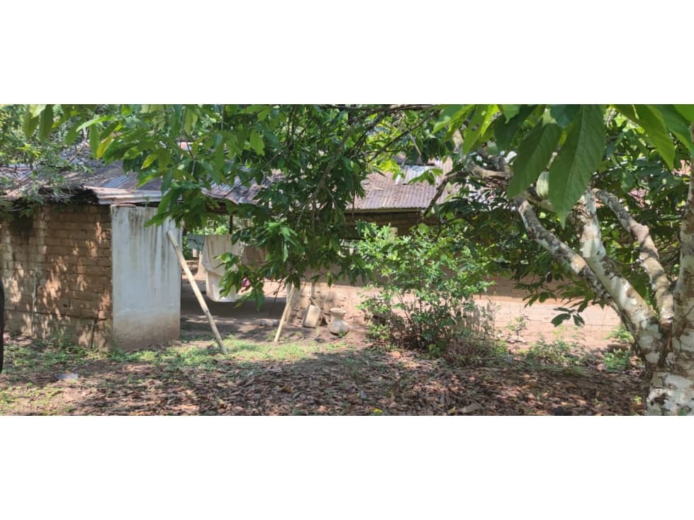 Tarapoto - Terreno circulado con quebrada - 1 ha. — foto 2