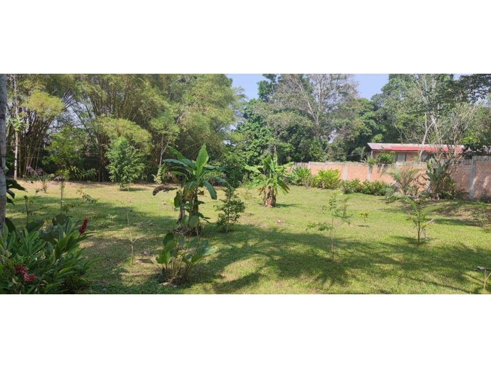 Tarapoto - Terreno circulado con quebrada - 1 ha. — foto 3