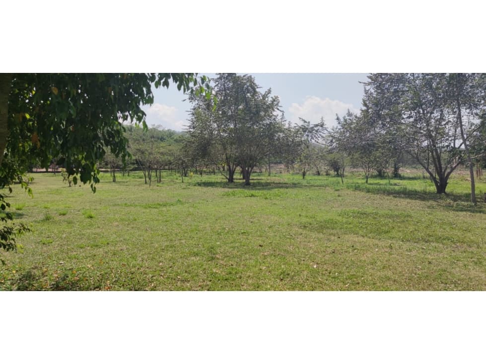 Terreno Tarapoto - 3 de Octubre - 10,000 m2 - US$45 x m2 — foto 4