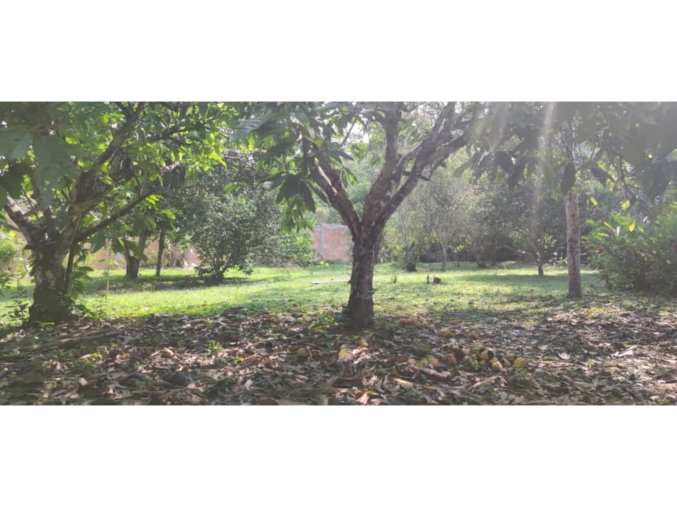 Tarapoto - Terreno circulado con quebrada - 1 ha. — foto 6
