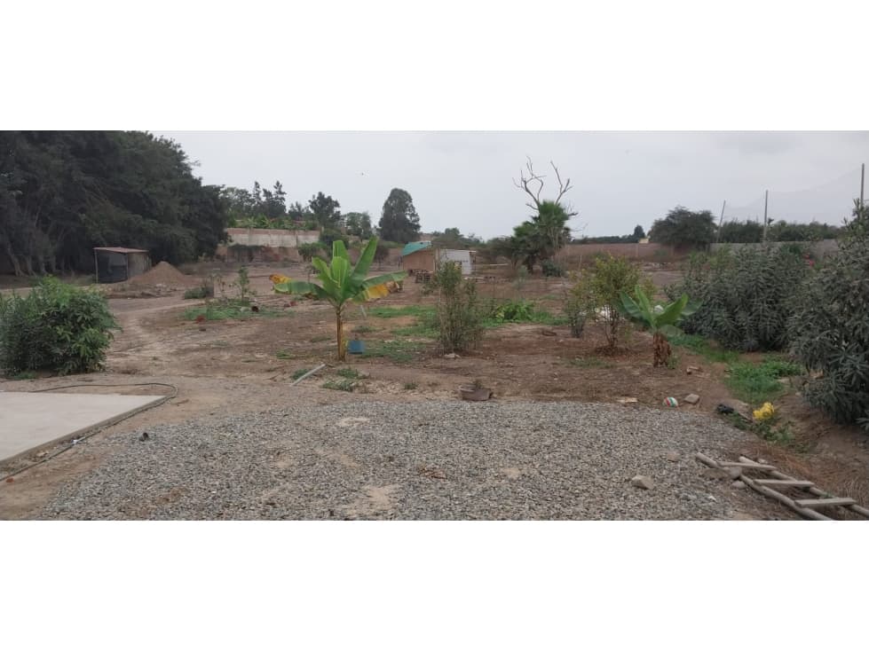 VENTA DE TERRENO EN PACHACAMAC — foto 6