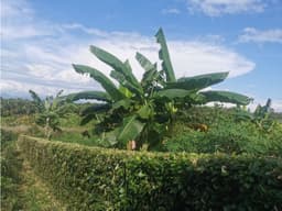 ¡Oportunidad única! Terreno de 960 m² cerca de la Laguna Venecia