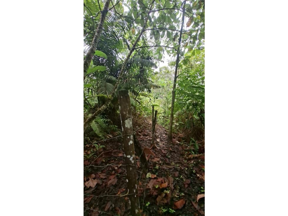 HERMOSO TERRENO EN SAN ROQUE DE CUMBAZA — foto 6
