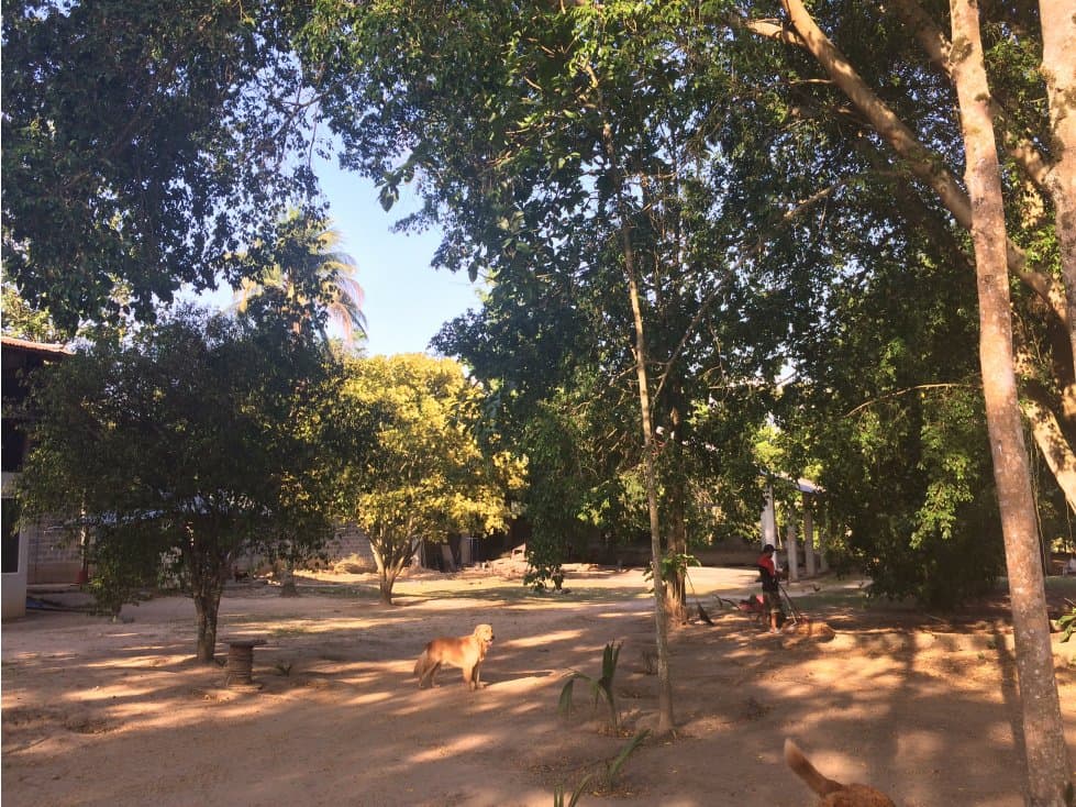 Venta de Excelente Terreno y Casa — foto 6